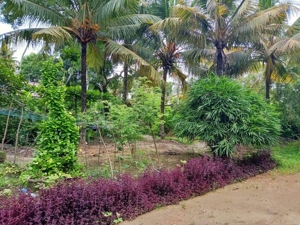 Marari Bethsaida Homestay Shertallai Kültér fotó